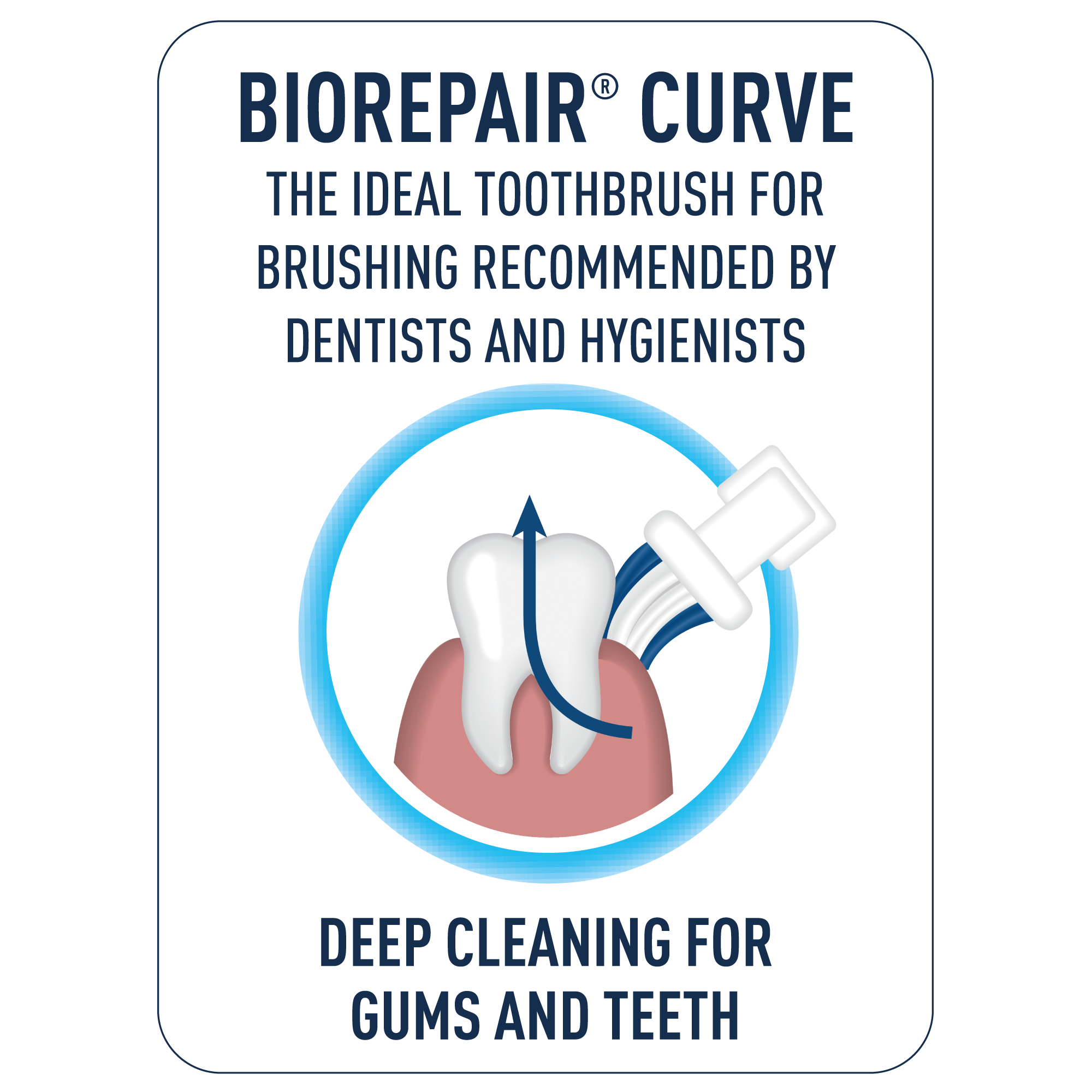 Biorepair CURVE per la pulizia profonda di denti e gengive